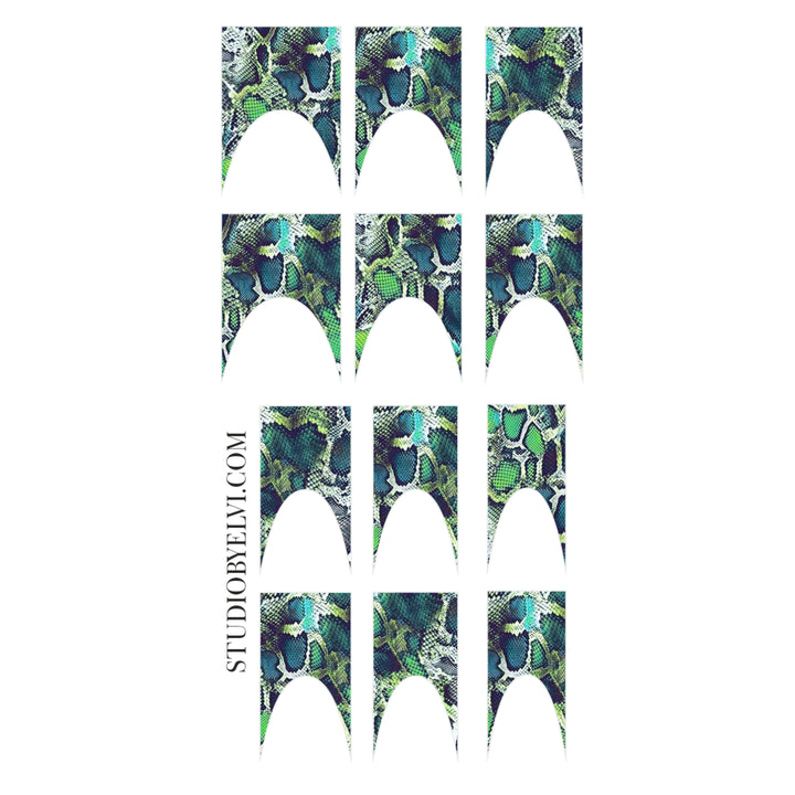 FRENCH 2 | SNAKE PRINT | TRANSPARENT BACKGROUND