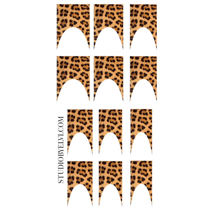 FRENCH 2 | LEOPARD | TRANSPARENT BACKGROUND