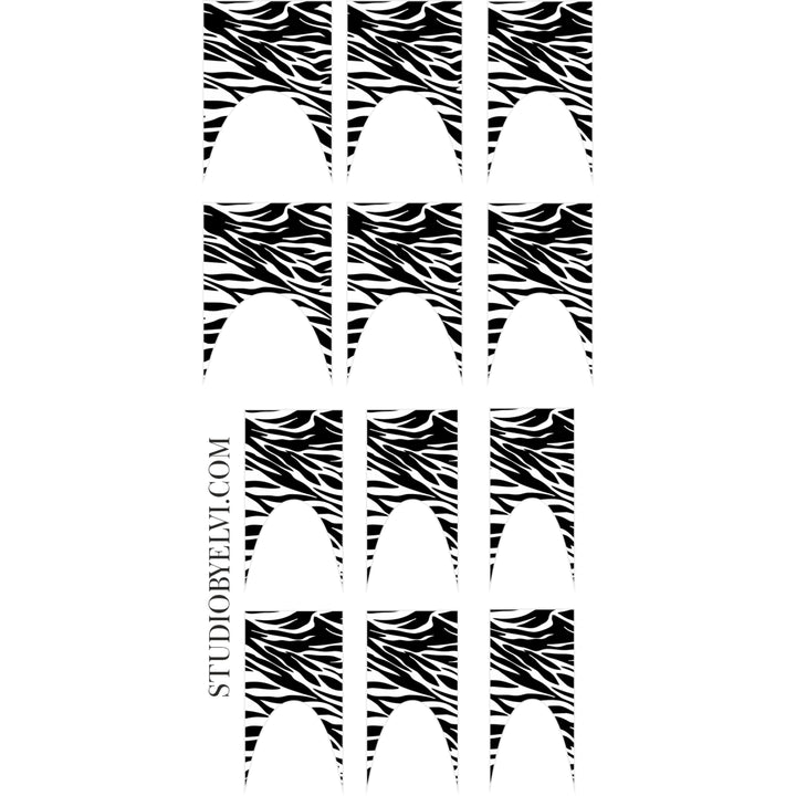 FRENCH | ZEBRA | TRANSPARENT BACKGROUND