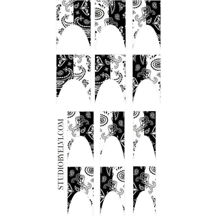 FRENCH 2 | NANDANA BLACK AND WHITE| TRANSPARENT BACKGROUND
